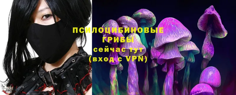 Псилоцибиновые грибы Magic Shrooms  купить наркотик  Северская 